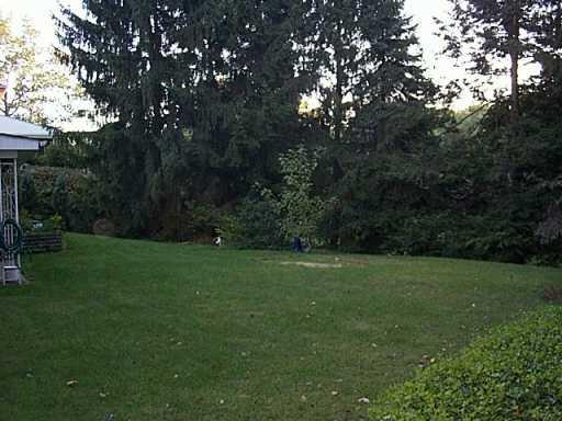 403 Sangree Road Pittsburgh, PA 15237 - Photo 3 of 8 Other.