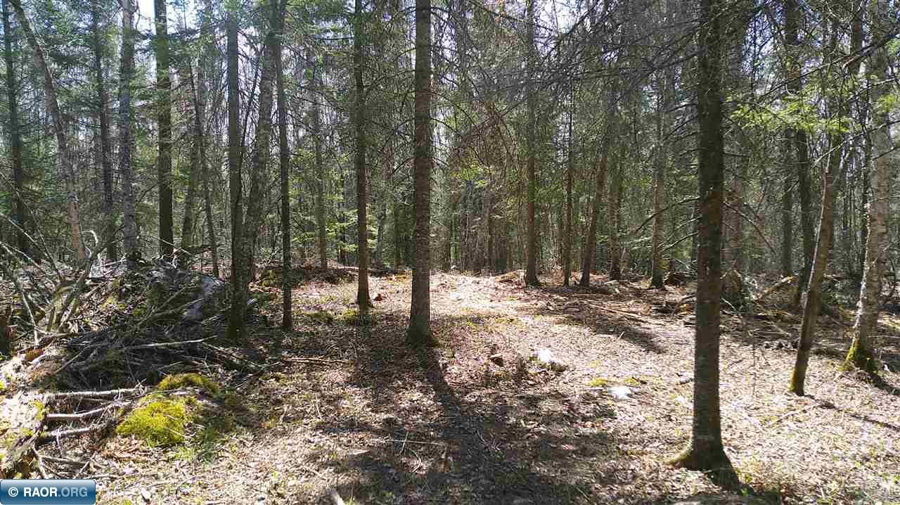 Tbd Parcel W Tbd Parcel W Fraser Bay Road Cook, MN 55723 - Photo 2 of 12
