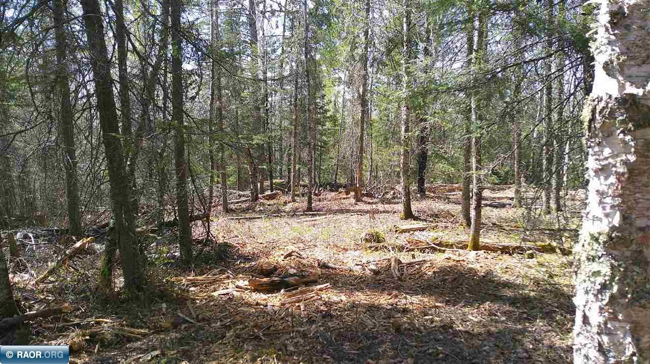 Tbd Parcel W Tbd Parcel W Fraser Bay Road Cook, MN 55723 - Photo 6 of 12