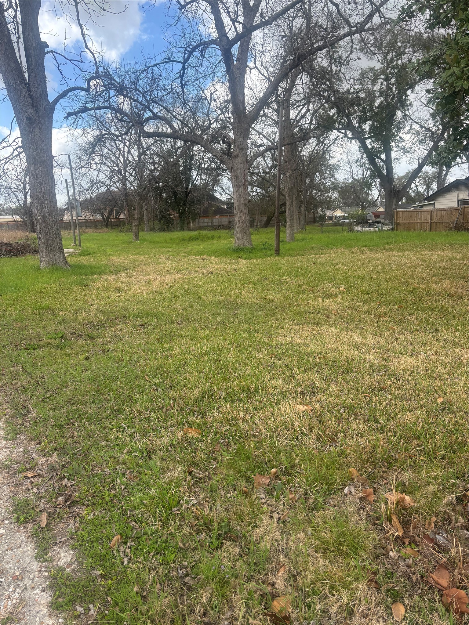 9201 Fulton Street Houston, TX 77022 - Photo 5 of 9 a view of outdoor space with trees all around