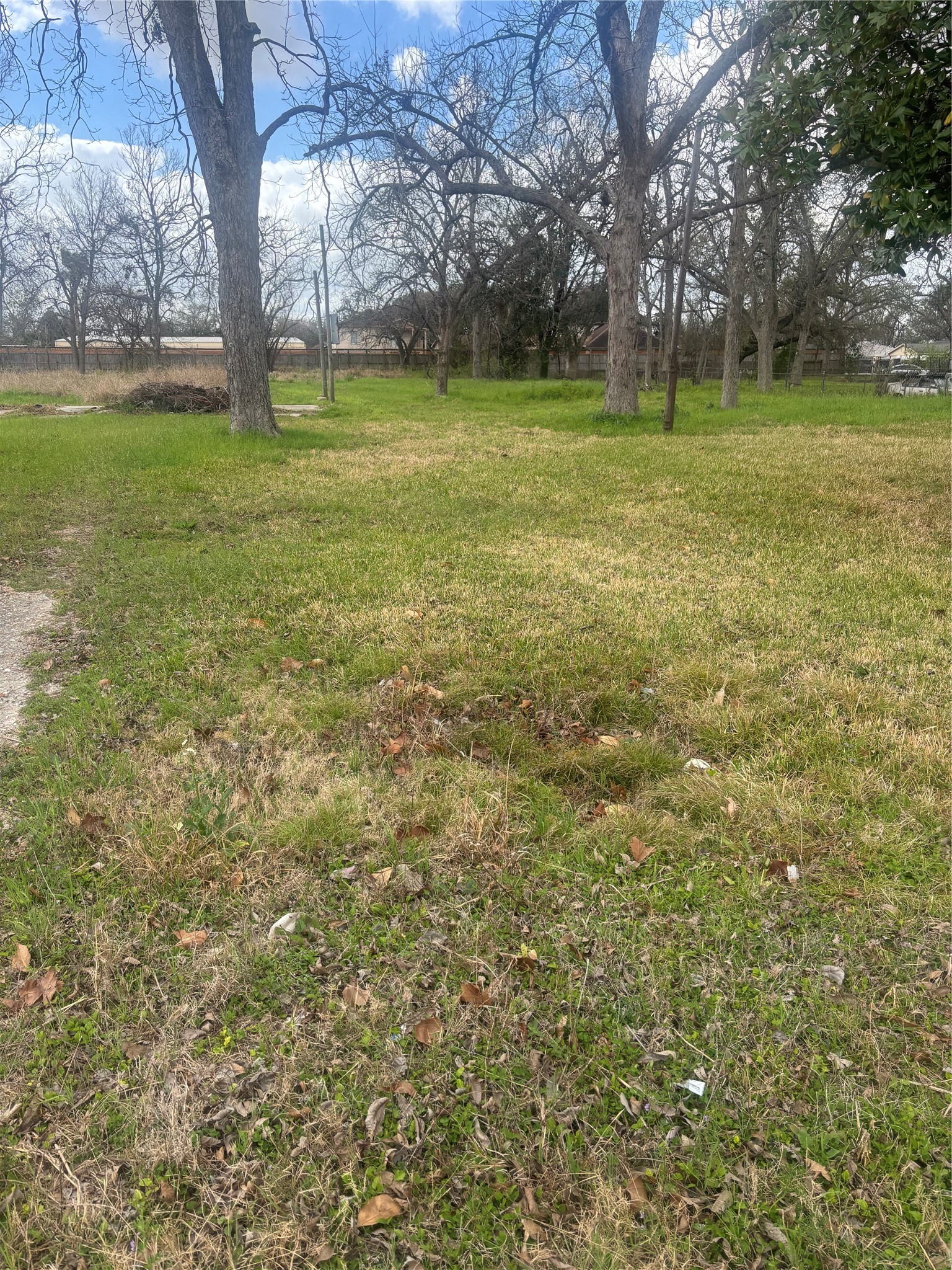 9201 Fulton Street Houston, TX 77022 - Photo 6 of 9 a view of a yard with a tree