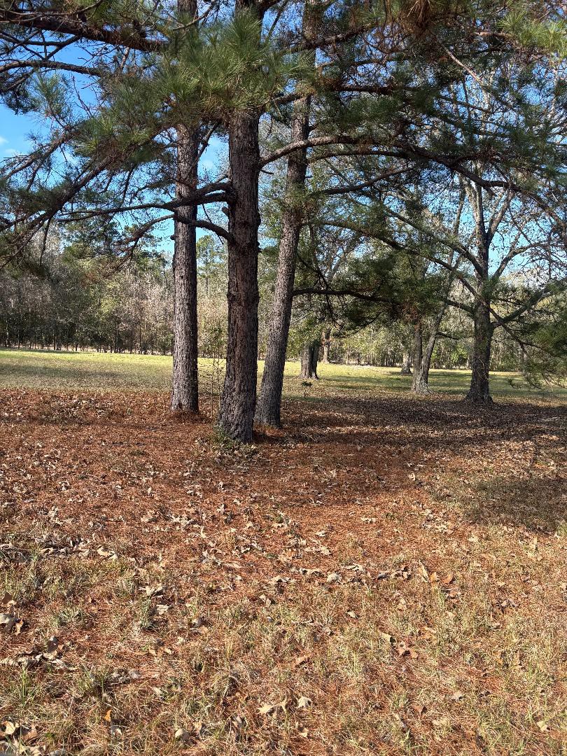 9201 Fulton Street Houston, TX 77022 - Photo 8 of 9 a view of a yard with an outdoor space