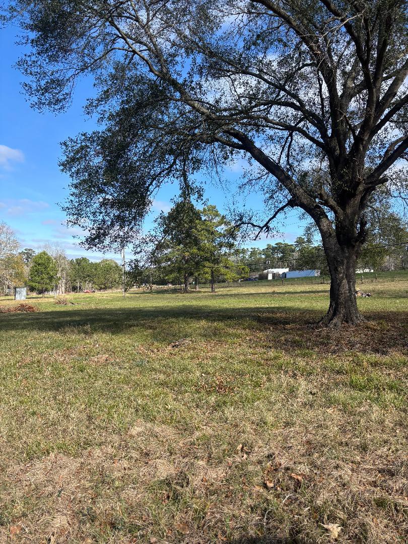 9201 Fulton Street Houston, TX 77022 - Photo 9 of 9 a view of lake with tree