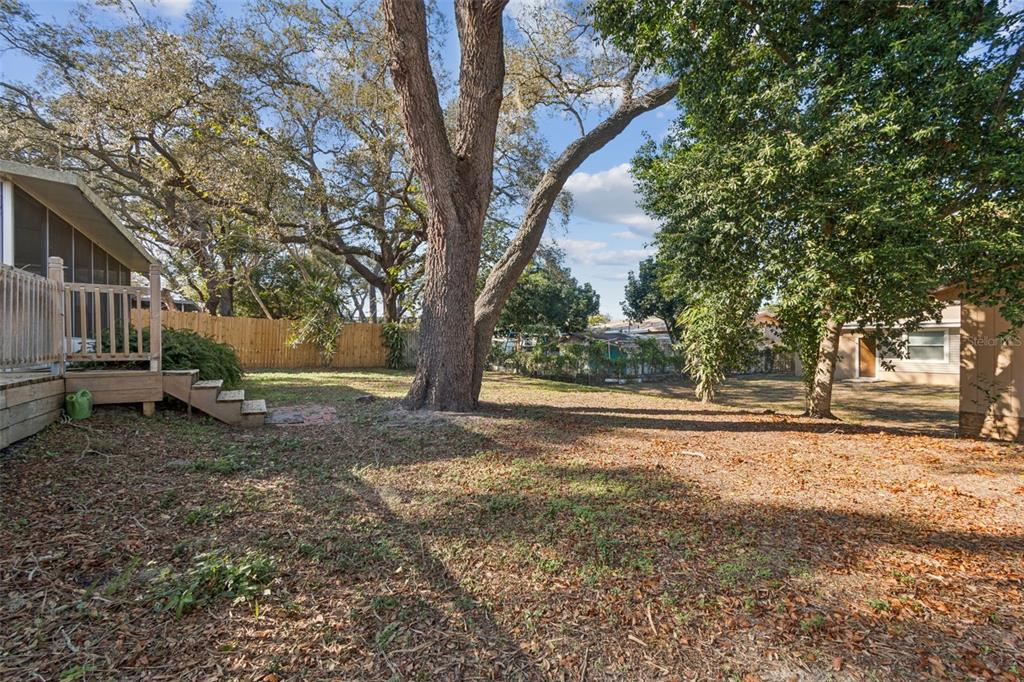727 Locust Street Tarpon Springs, FL 34689 - Photo 29 of 47 a view of a yard with a tree