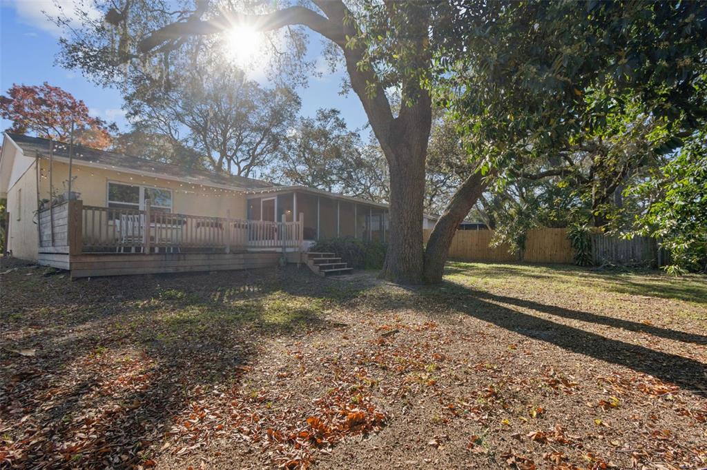 727 Locust Street Tarpon Springs, FL 34689 - Photo 30 of 47 a view of a yard with a tree