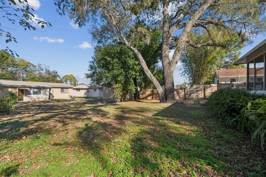 727 Locust Street Tarpon Springs, FL 34689 - Photo 32 of 47 a view of a house with a yard
