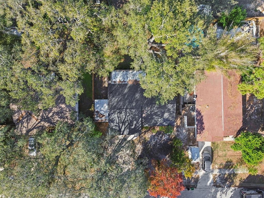 727 Locust Street Tarpon Springs, FL 34689 - Photo 35 of 47 a backyard of a house with a garden and plants