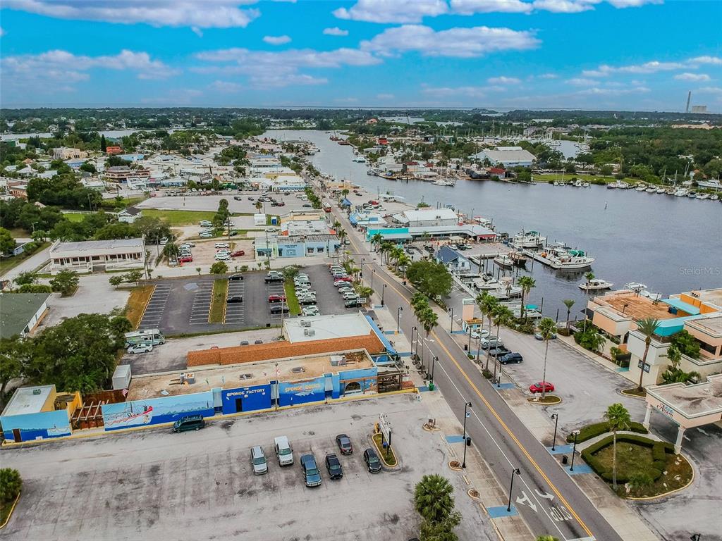 727 Locust Street Tarpon Springs, FL 34689 - Photo 43 of 47 an aerial view of a city