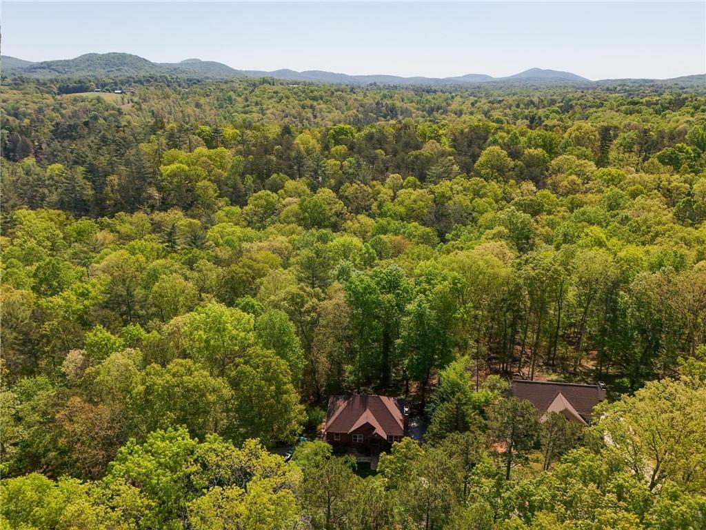 244 Discover Way Cleveland, GA 30528 - Photo 4 of 41