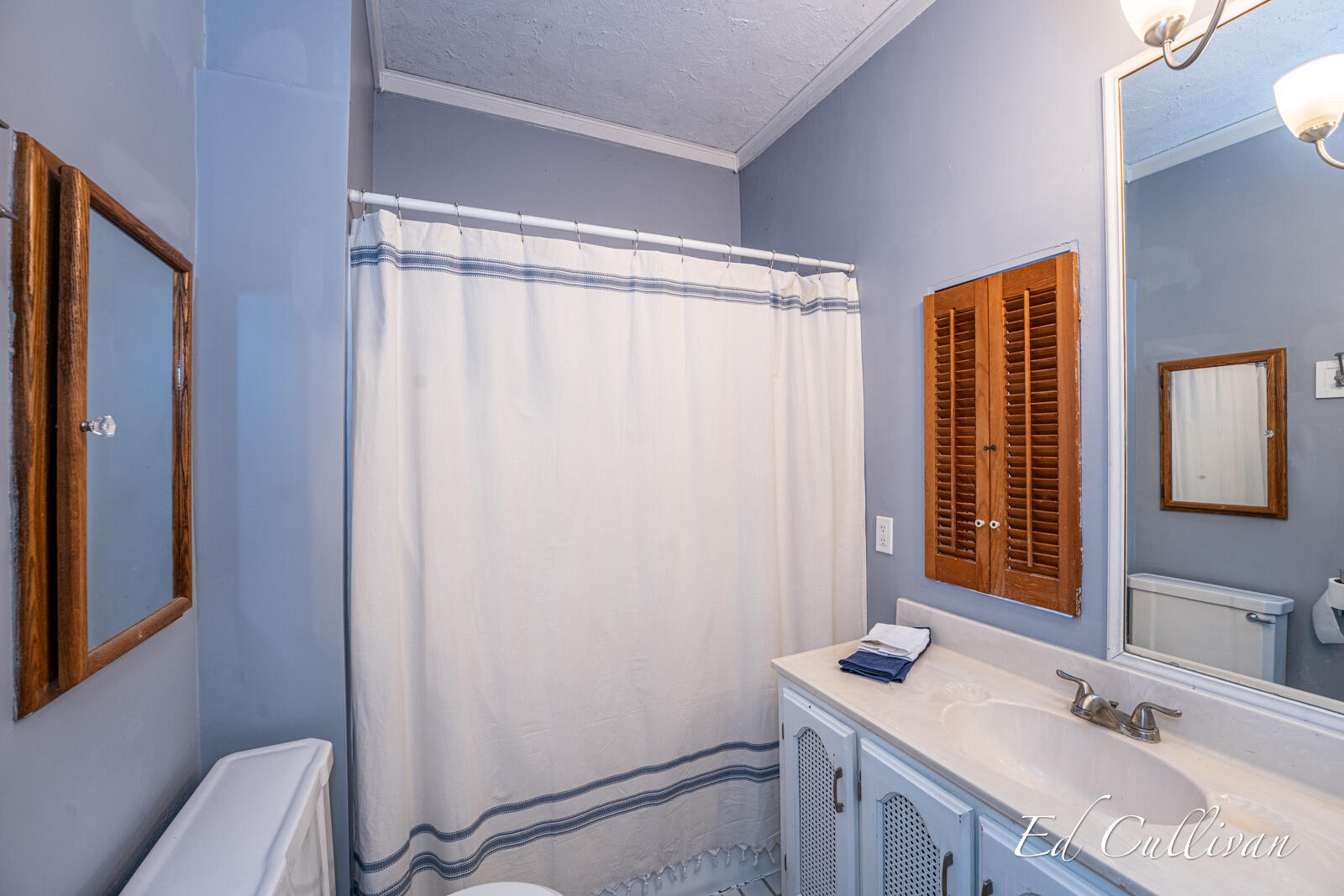 211 North Division Street Spring Lake, MI 49456 - Photo 19 of 34 211 S. Division-35