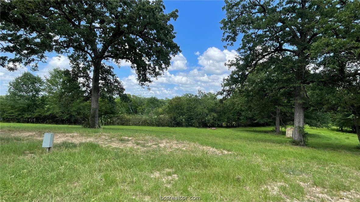 Tbd Tbd Wilson Pasture Road Bryan, TX 77808 - Photo 20 of 29 a view of an outdoor space and a yard