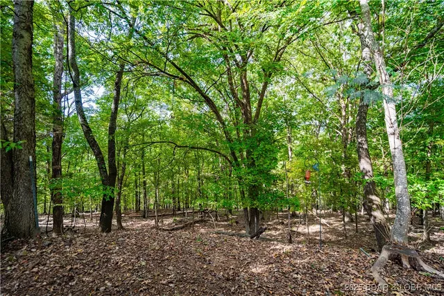 $249,000 | 94 Vista Place, Camdenton, MO 65020