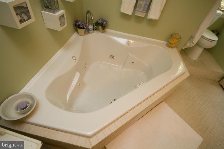 4611 White Marsh Road Rosedale, MD 21237 - Photo 22 of 30 Bath (Master)