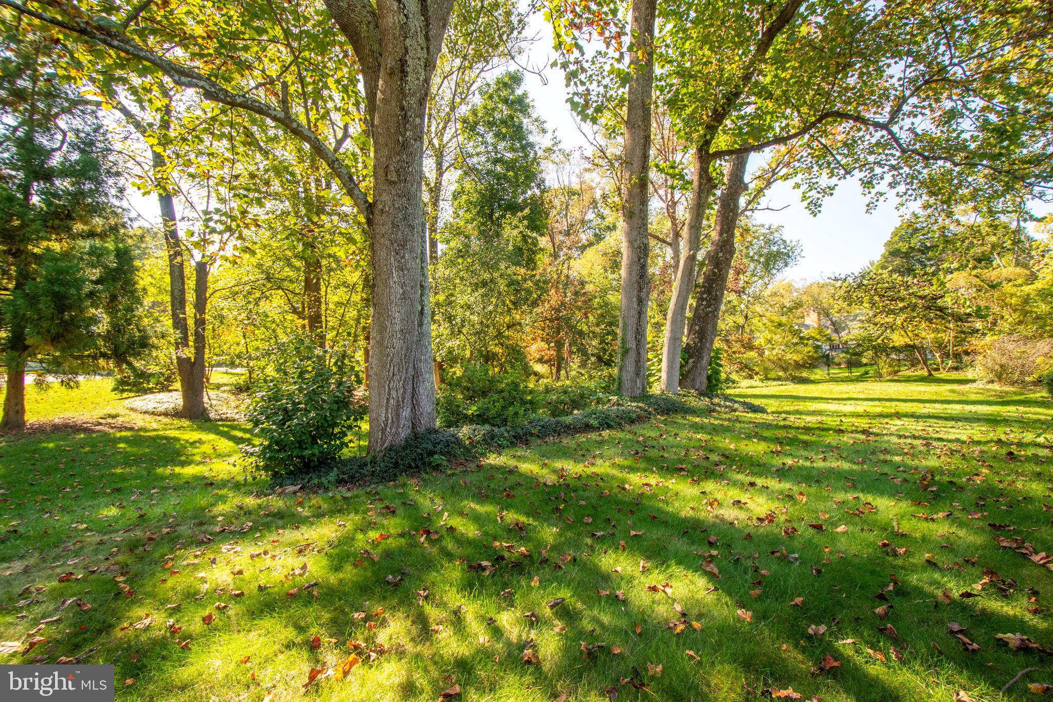 11906 Progress Lane Bowie, MD 20721 - Photo 101 of 107 Open Space For All Sorts Of Activities