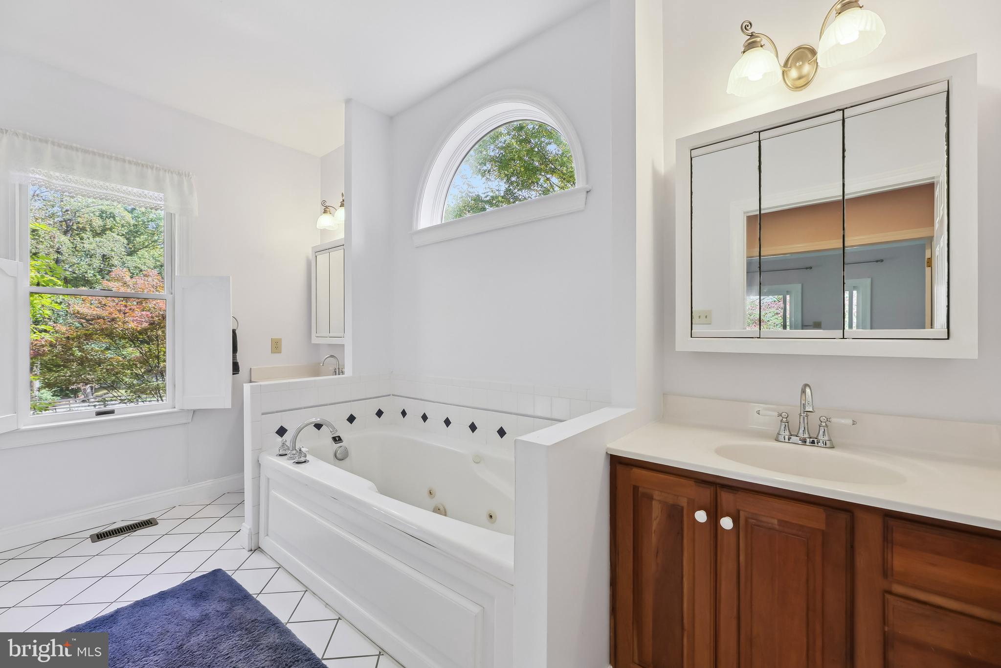 11906 Progress Lane Bowie, MD 20721 - Photo 25 of 107 Primary Bathroom With Jetted Soaking Tub