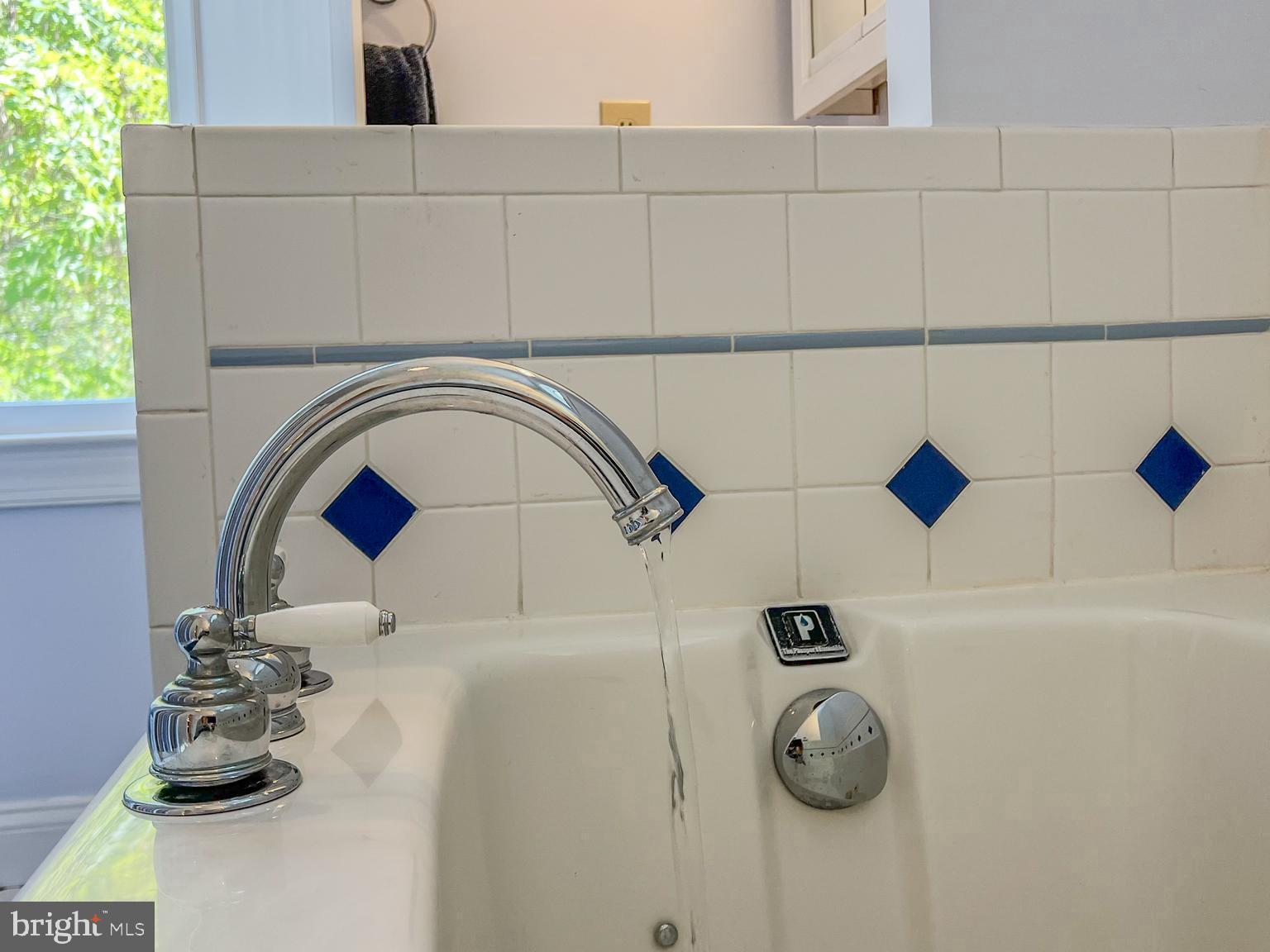 11906 Progress Lane Bowie, MD 20721 - Photo 27 of 107 Primary Bathroom Detail