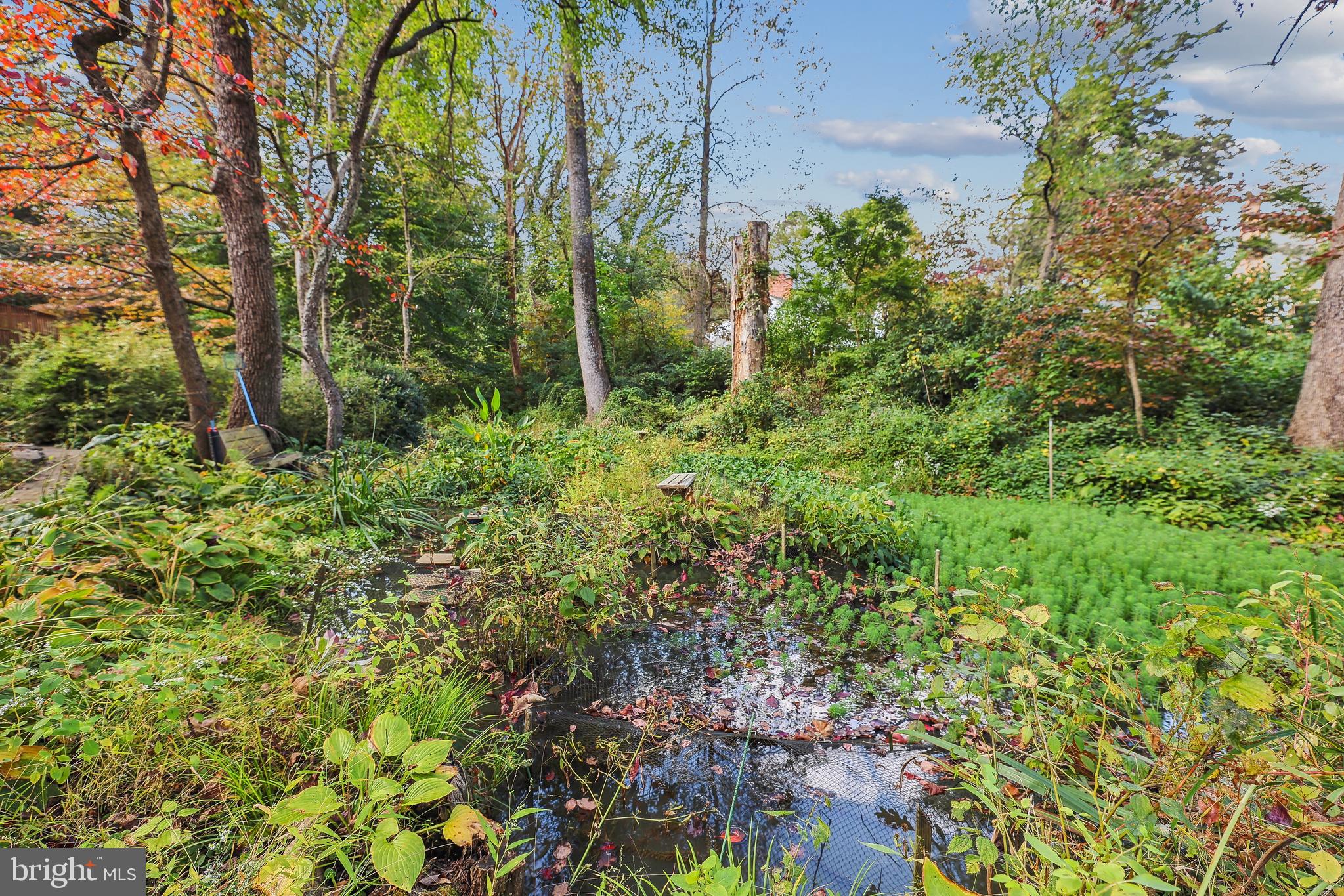 11906 Progress Lane Bowie, MD 20721 - Photo 79 of 107 Serene Pond