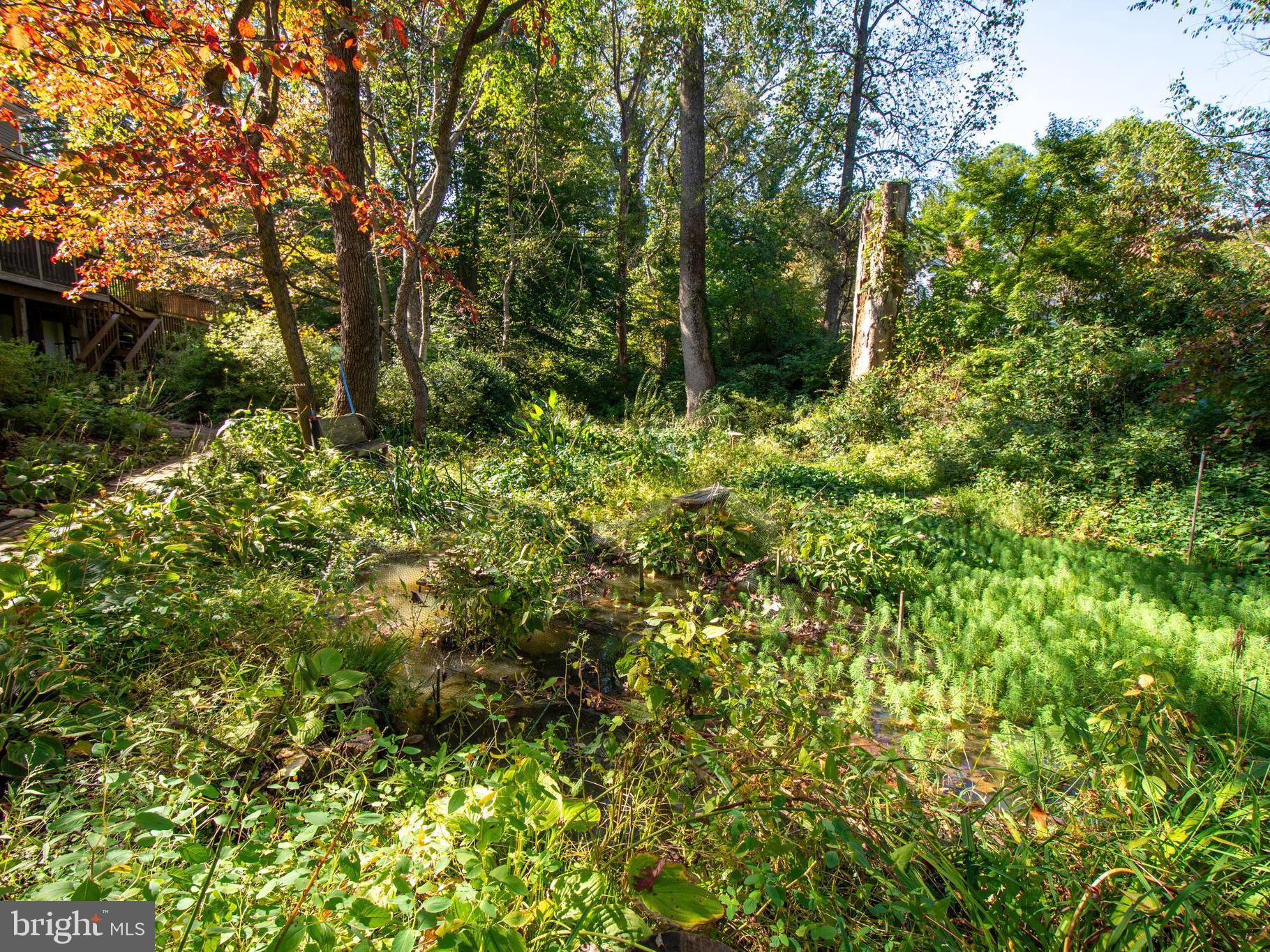 11906 Progress Lane Bowie, MD 20721 - Photo 94 of 107 Pond For Serenity