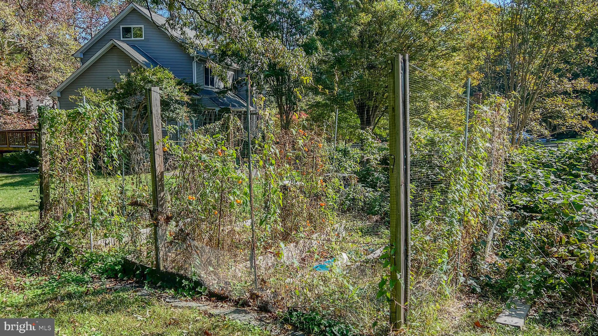 11906 Progress Lane Bowie, MD 20721 - Photo 99 of 107 Gardening Area