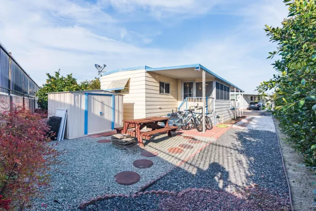 a view of a backyard with plants and a patio