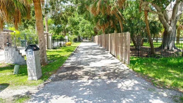 a view of park with large trees