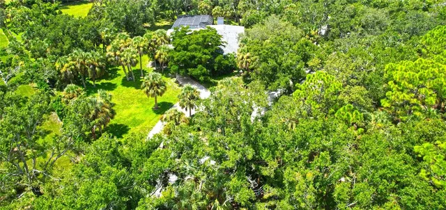 a view of a garden with a tree