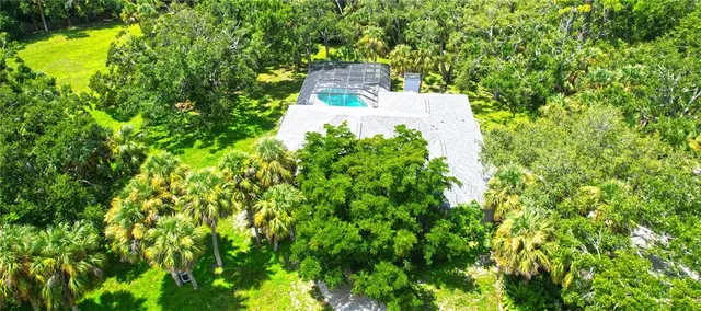 a close up of a tree in a garden