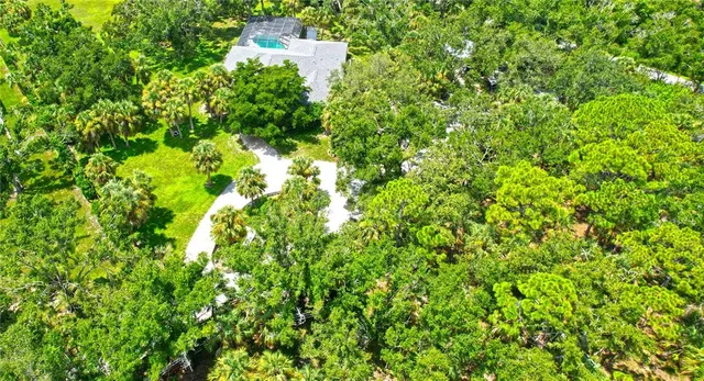 a view of a tree in a park