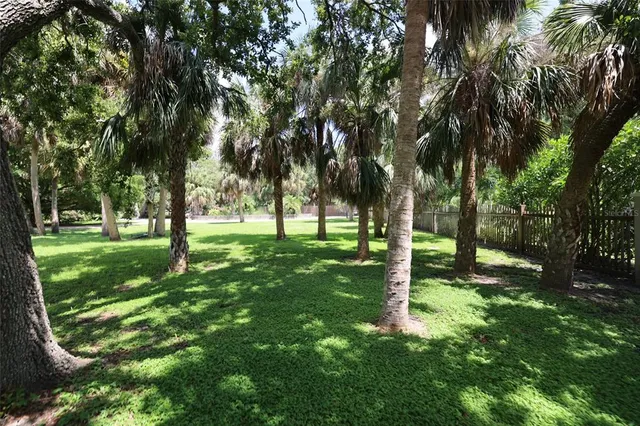 a view of a field of grass and trees