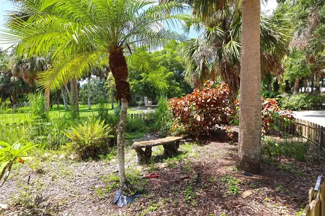 a view of backyard with tree