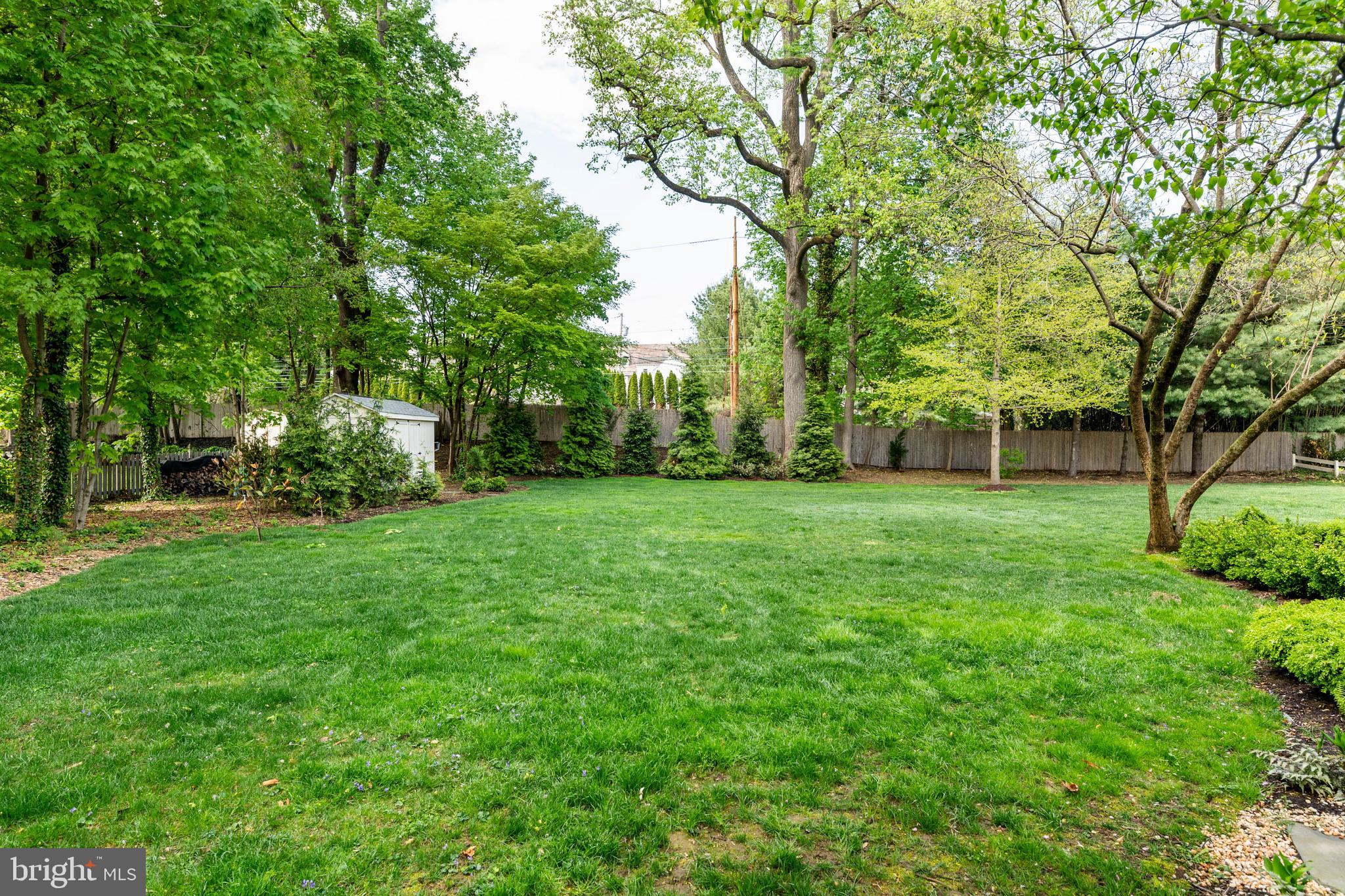 119 Cambria Court Wayne, PA 19087 - Photo 44 of 52 a view of a yard with a tree