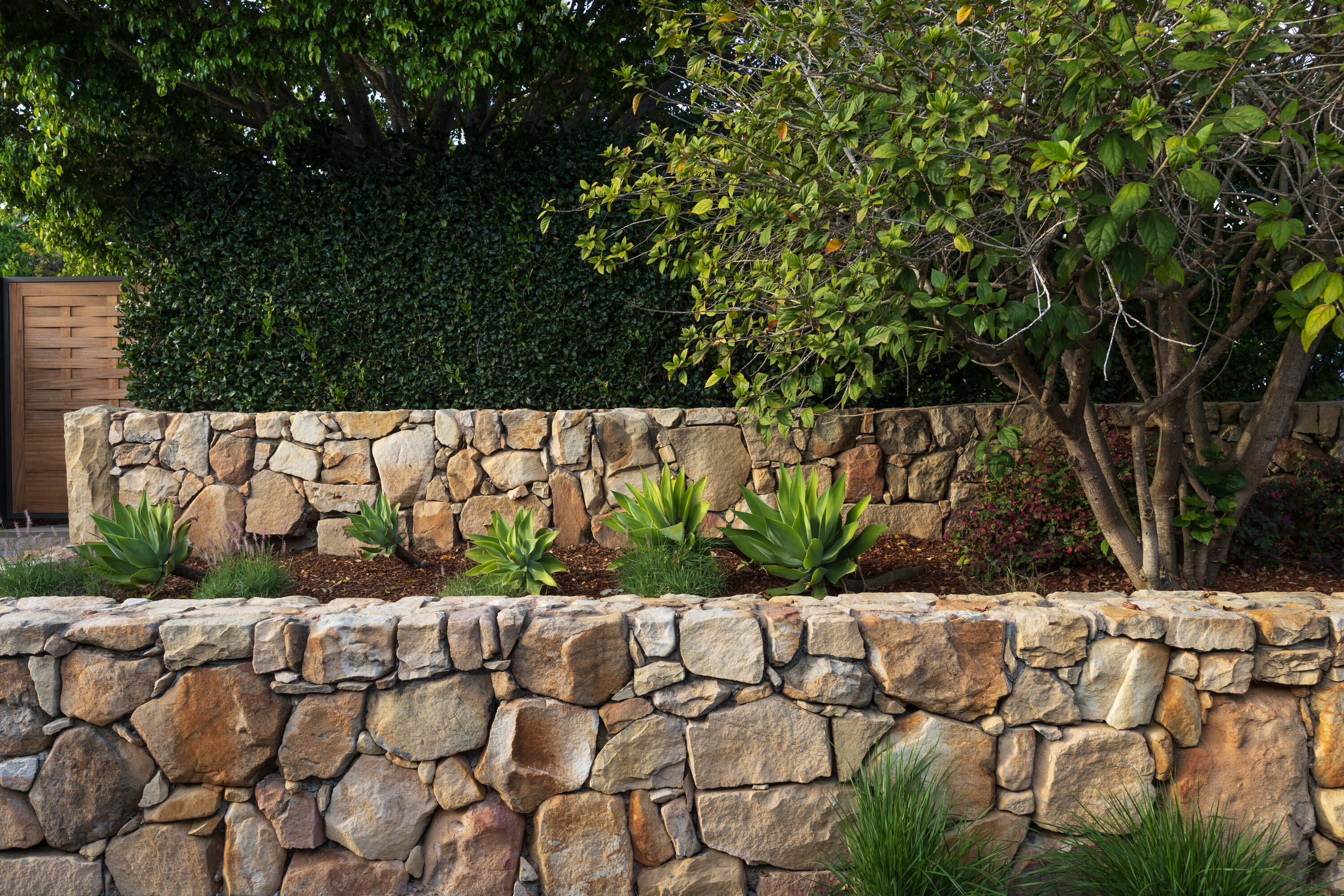 1811 Prospect Avenue Santa Barbara, CA 93103 - Photo 22 of 74 1811 Prospect Web-48