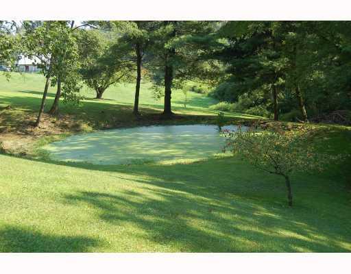 6436 Ridge Road Natrona Heights, PA 15065 - Photo 8 of 12 Land.