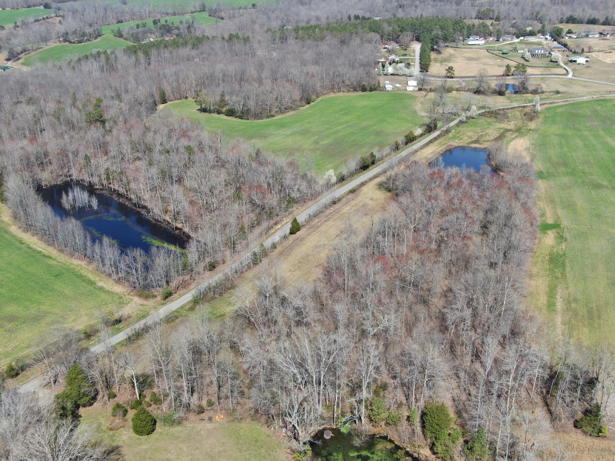 235 Rackley Road Goodspring, TN 38460 - Photo 1 of 54 a view of a dry yard with wooden fence