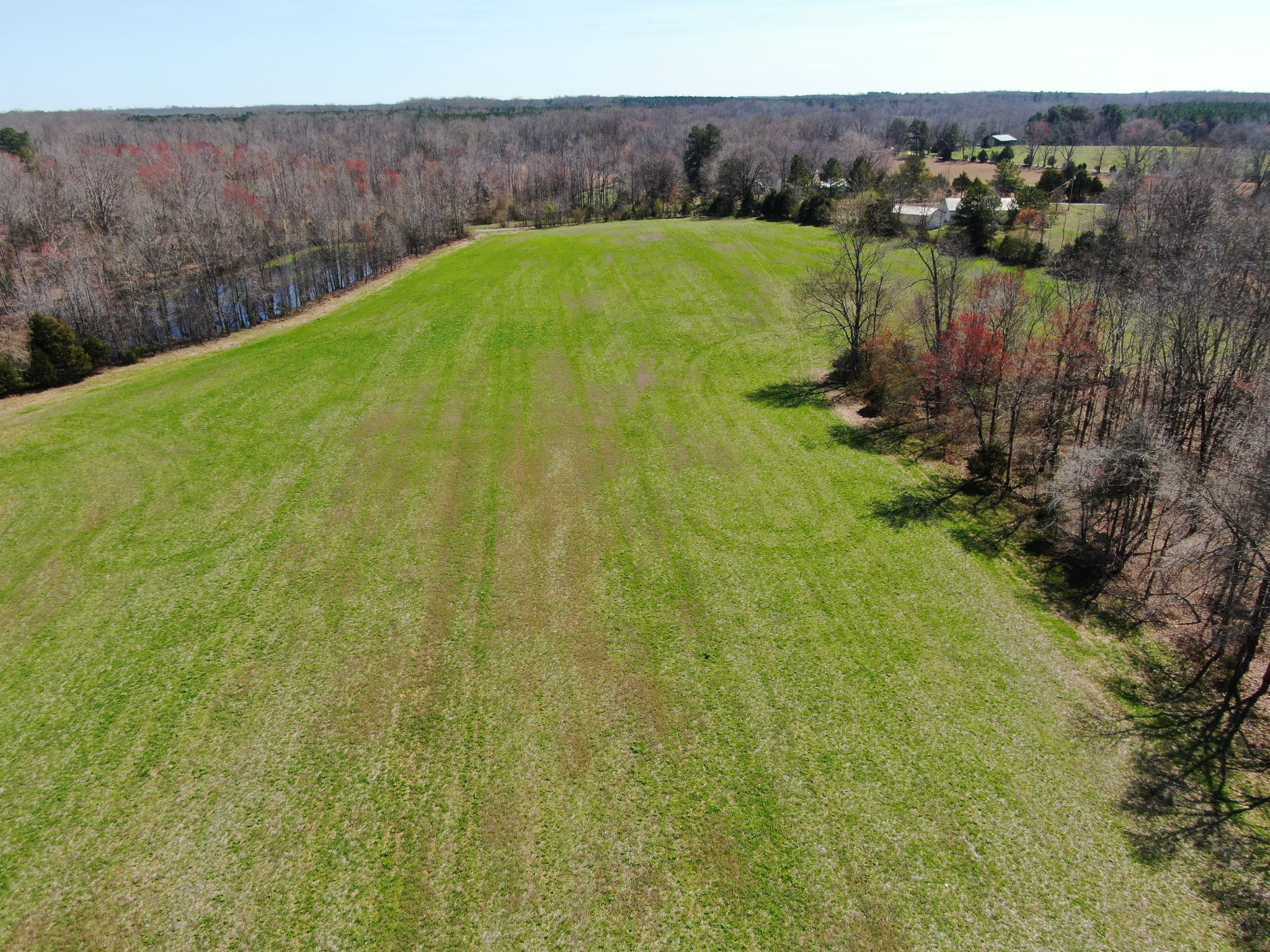 235 Rackley Road Goodspring, TN 38460 - Photo 12 of 54 a view of a back yard