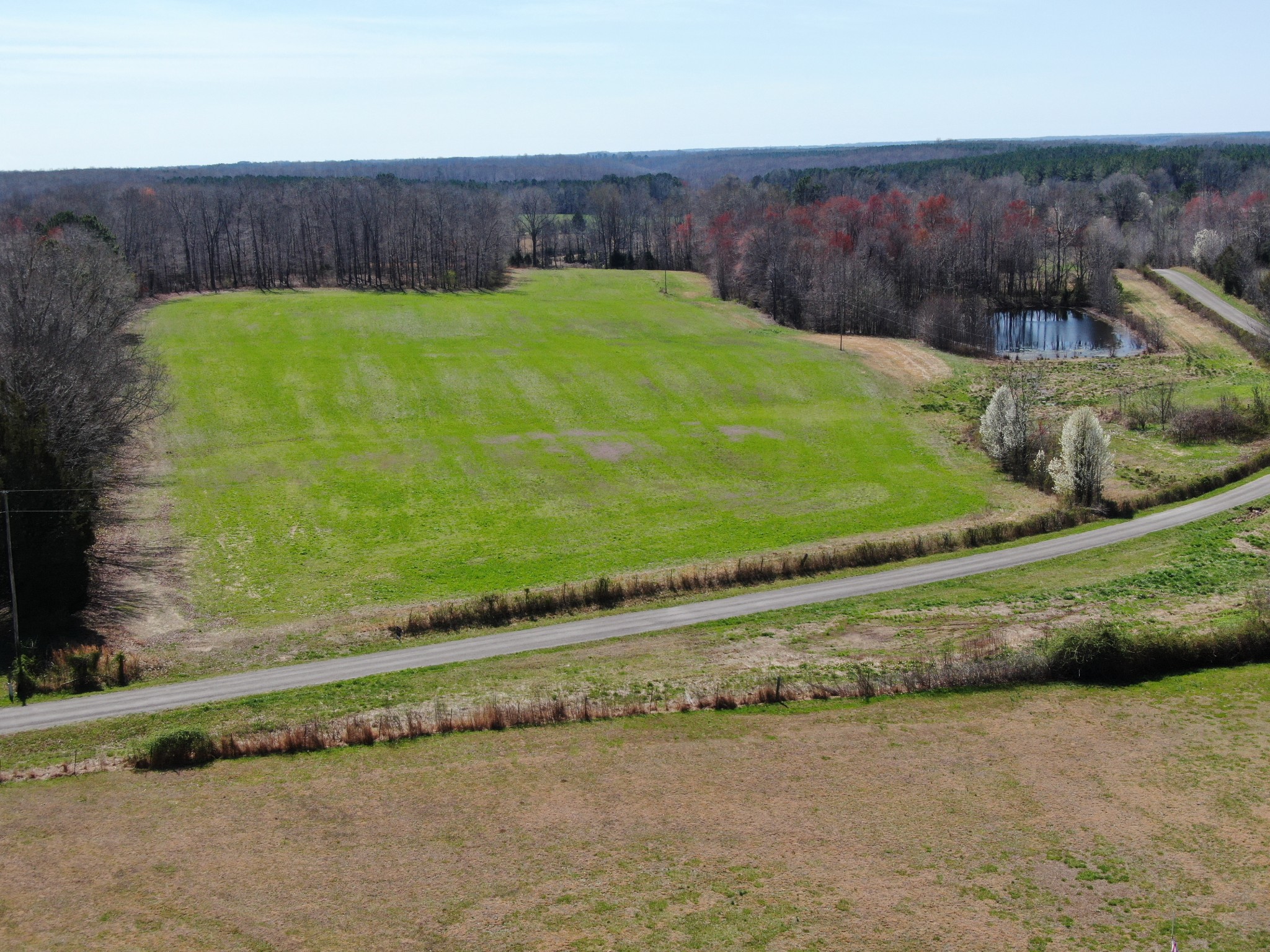 235 Rackley Road Goodspring, TN 38460 - Photo 35 of 54 a view of a back yard