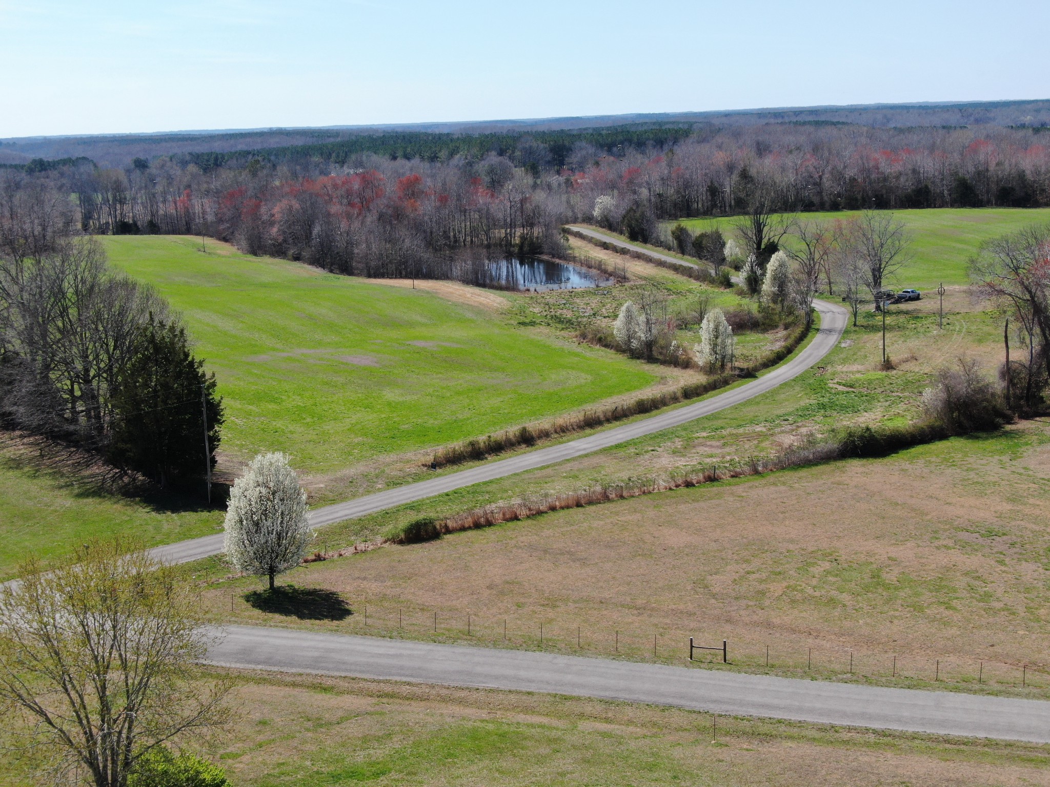235 Rackley Road Goodspring, TN 38460 - Photo 8 of 54 a view of a backyard