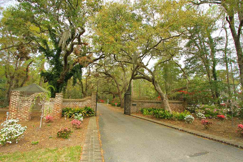 Tbd Tbd Tuckers Road Pawleys Island, SC 29585 - Photo 11 of 13 Gallery Image 11