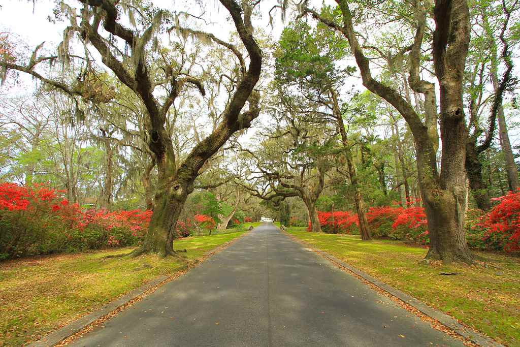 Tbd Tbd Tuckers Road Pawleys Island, SC 29585 - Photo 3 of 13 Gallery Image 3