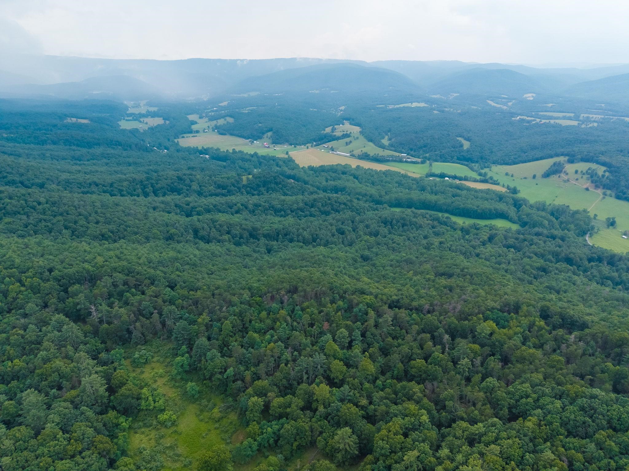 Tbd Criders Road Bergton, VA 22811 - Photo 22 of 22