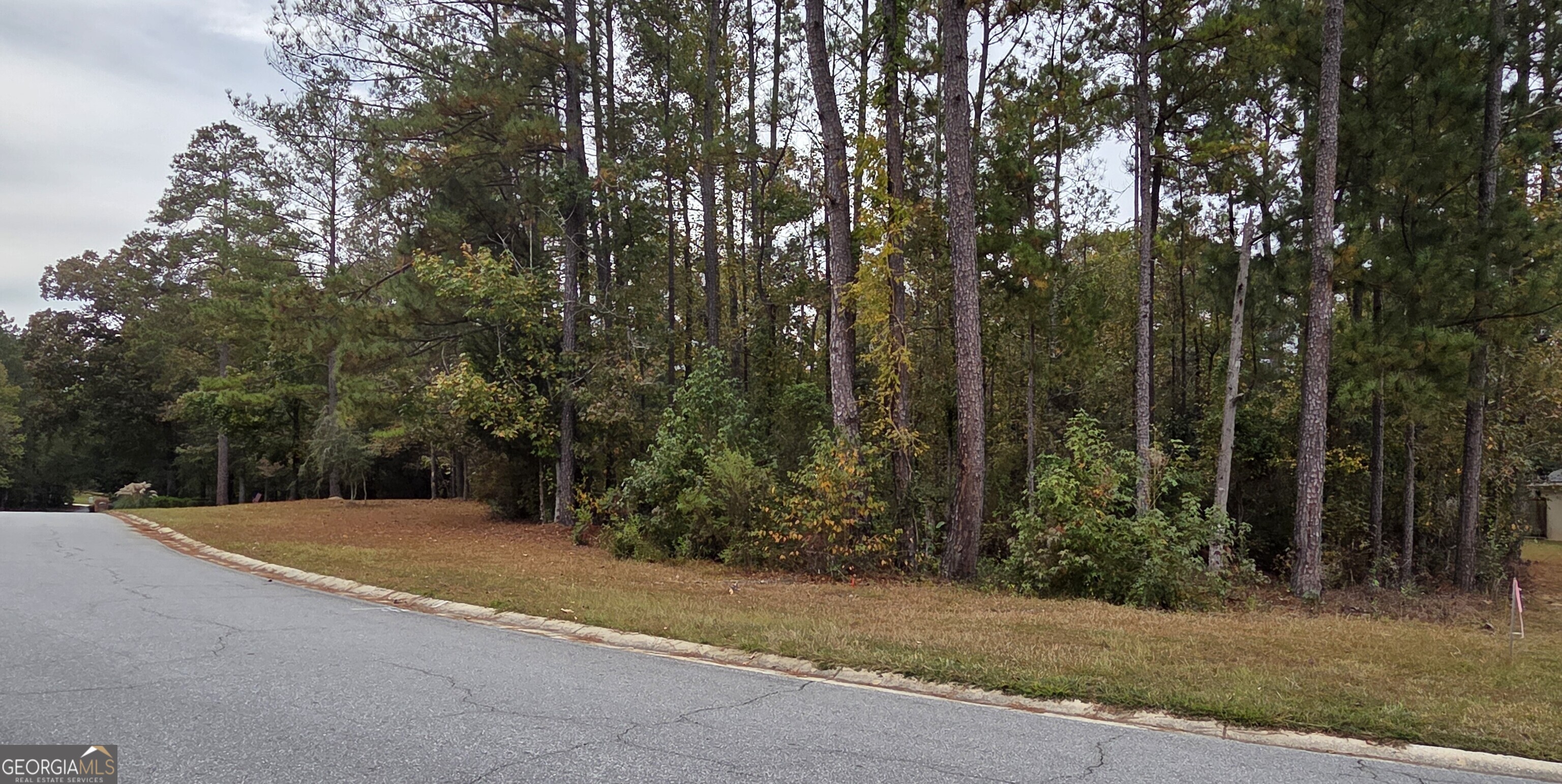 215 Falcon Crest Warner Robins, GA 31088 - Photo 2 of 18 a view of a field with trees in the background