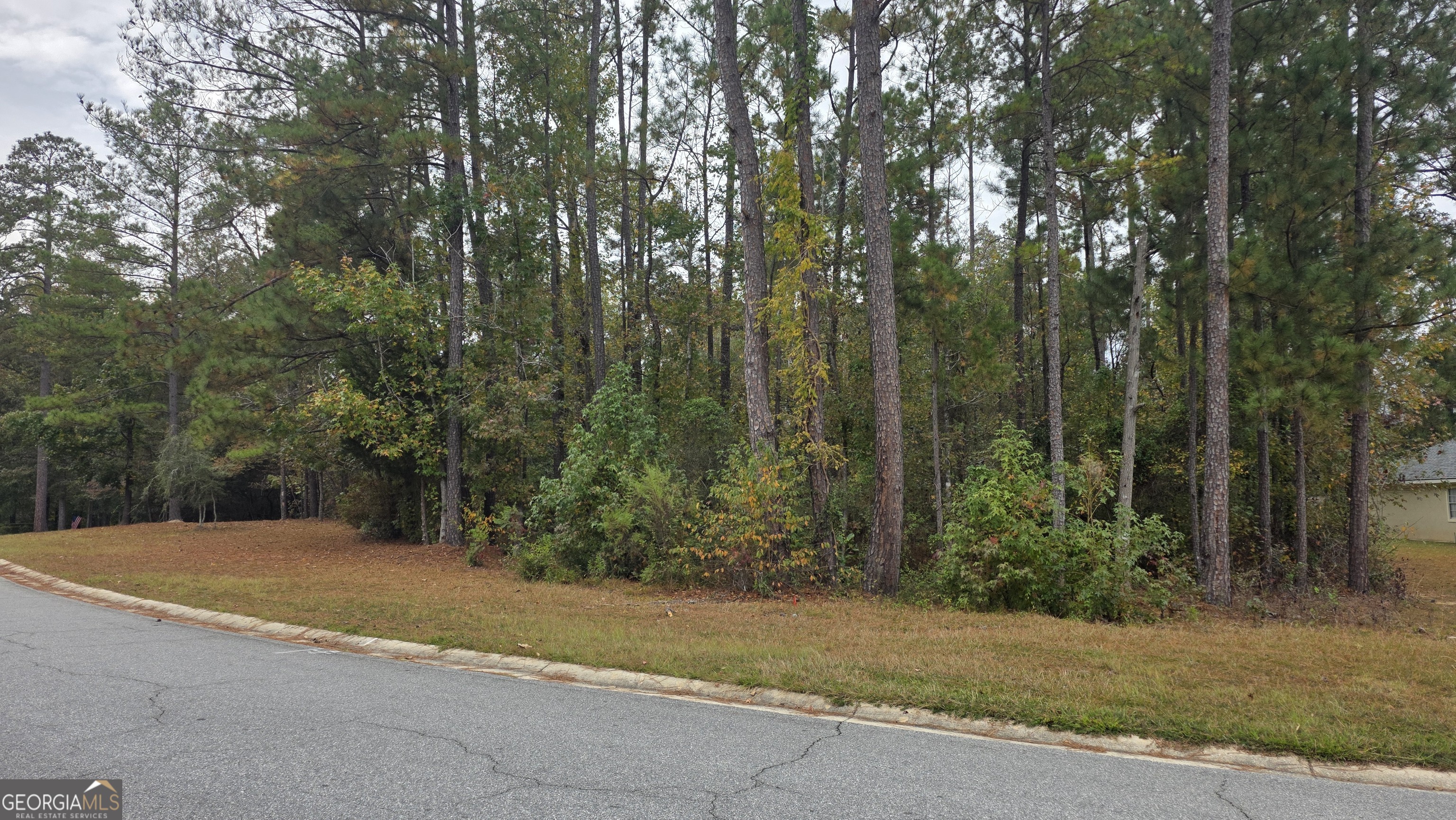 215 Falcon Crest Warner Robins, GA 31088 - Photo 3 of 18