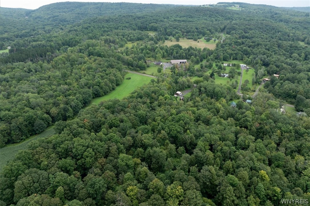 4888 Gun Barrel Road Yorkshire, NY 14141 - Photo 32 of 40 Gallery Image 32
