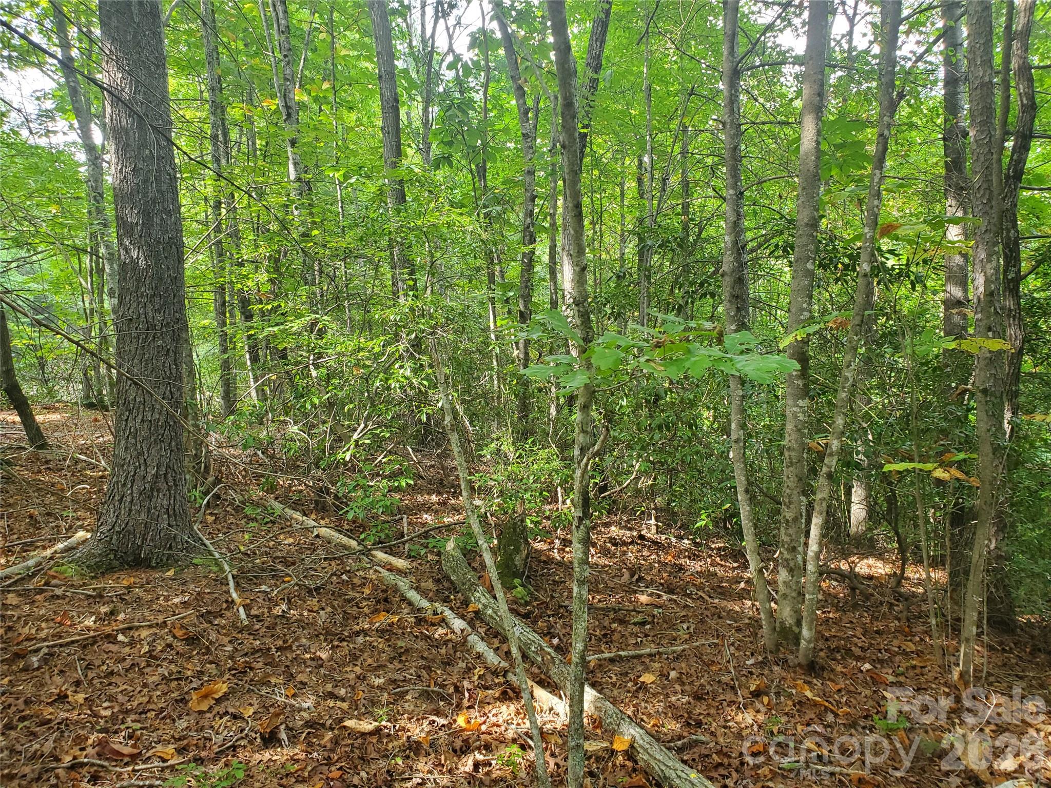 3024 Pearson Mountain Road Boomer, NC 28606 - Photo 28 of 39 Gallery Image 28