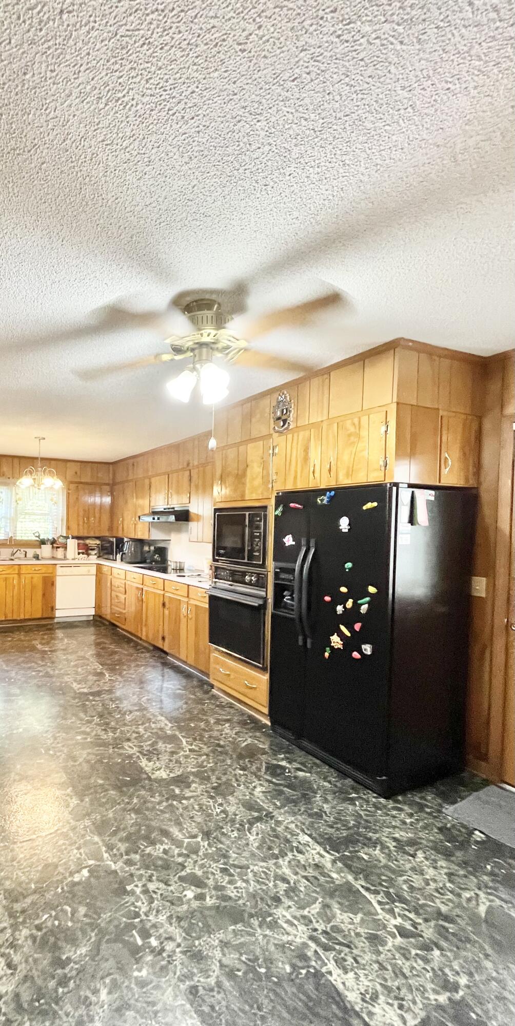 337 Dandridge Road Walterboro, SC 29488 - Photo 25 of 44 IMG_3299