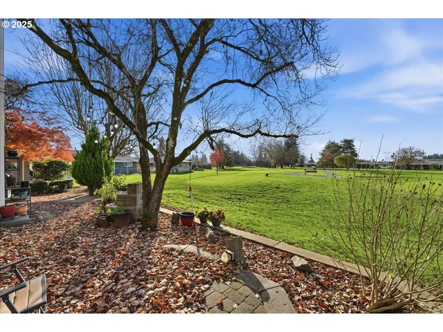a view of a garden with a bench