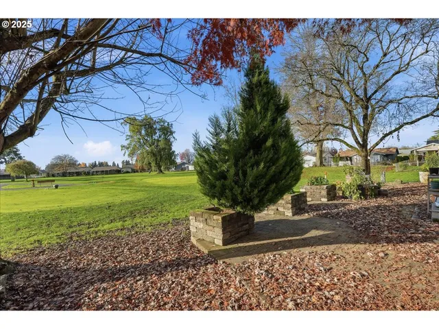 a view of a backyard