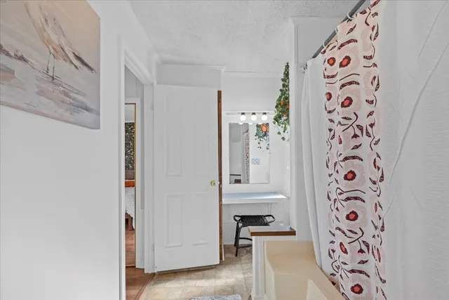 a bath room with a bathtub and a potted plant