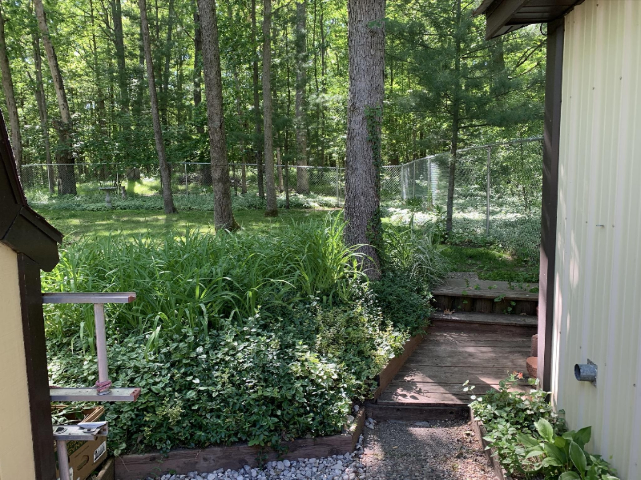 8929 North Johnson Road Irons, MI 49644 - Photo 7 of 17 IMG_0987