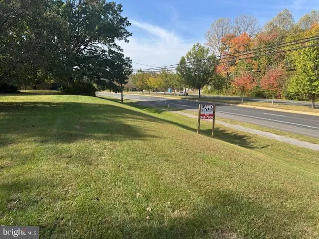 a view of park with an trees
